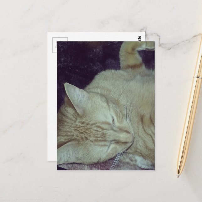 liebenswerte rote Katze im Bett Postkarte (Vorderseite/Rückseite Beispiel)