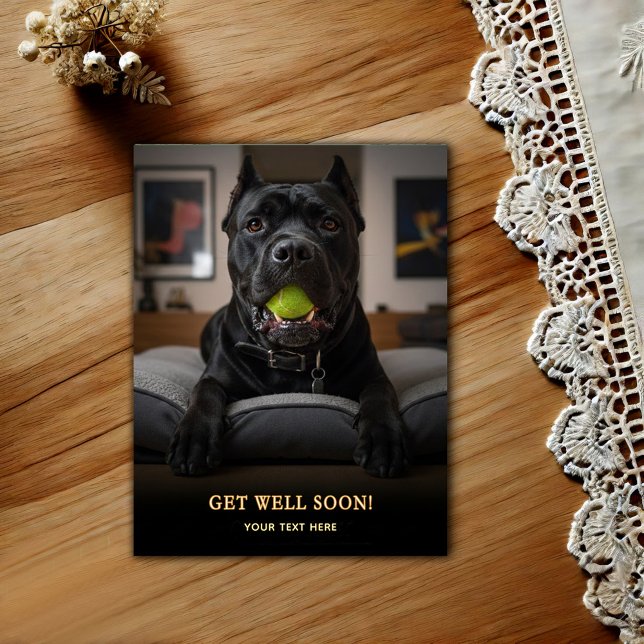 Liebenswerter Cane Corso Gute Besserung  Postkarte (Von Creator hochgeladen)