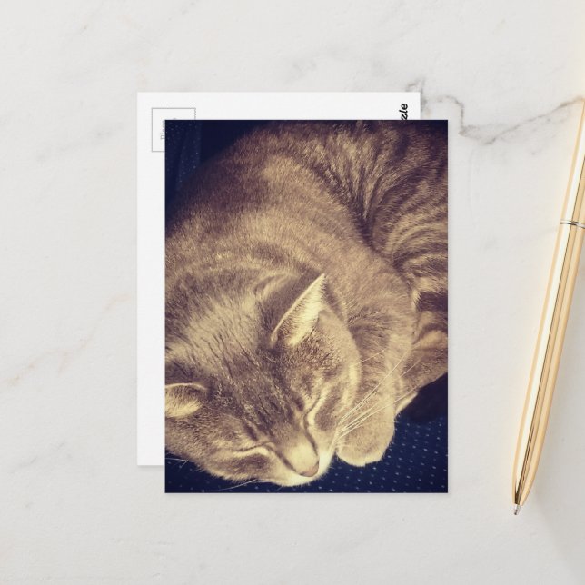 liebenswerter grauer Tabby-Kat schlafend Postkarte (Vorderseite/Rückseite Beispiel)