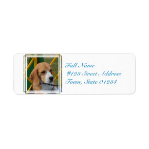 Liebenswürdiger Beagle