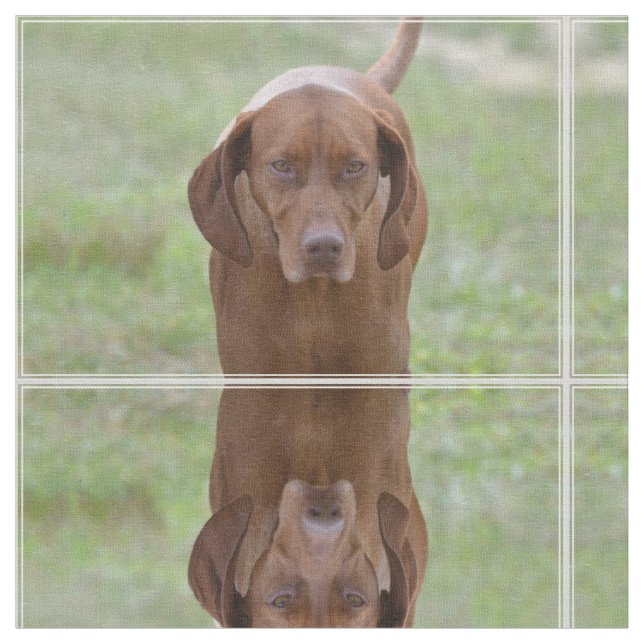 Liebenswürdiges Vizsla Stoff (Nahaufnahme)