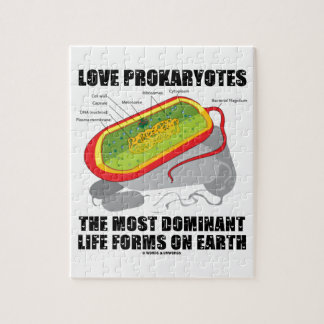 LiebeProkaryotes die meisten dominierenden Puzzle