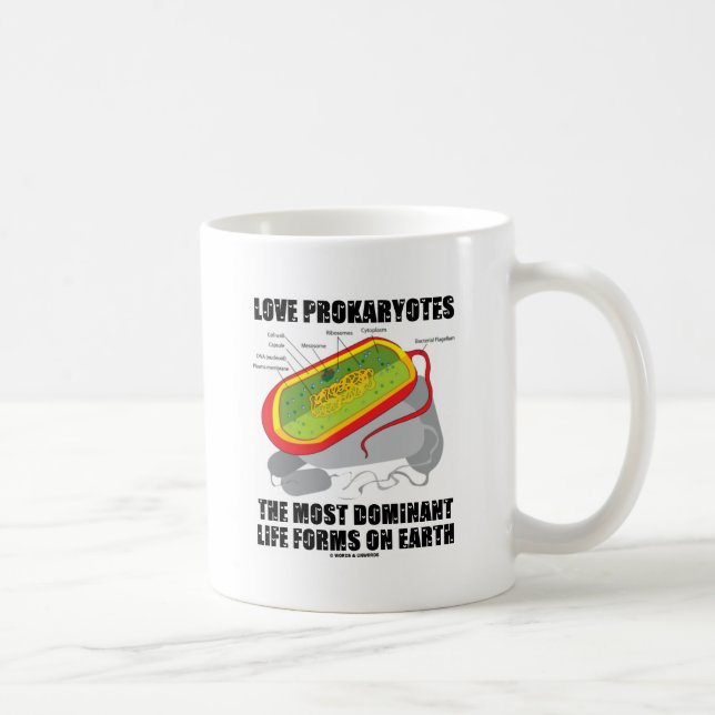 LiebeProkaryotes die meisten dominierenden Tasse (Rechts)