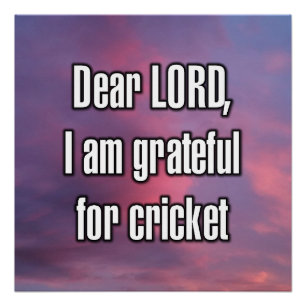 Lieber Gott, ich bin dankbar für Cricket Poster