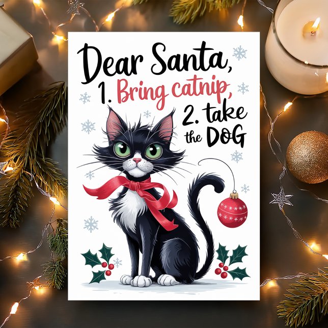 Lieber Santa Bring Catnip Funny Cat Weihnachten (Von Creator hochgeladen)