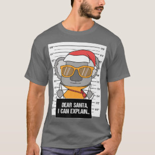Lieber Santa I Can Eplain Koala Brille Criminal Ch T-Shirt