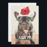 Lieber Weihnachten, wir können Feiertage Fotokarte Feiertagskarte<br><div class="desc">Weihnachts-Weihnachtskarten mit Ihrem Lieblings-Foto. Es steht: "Lieber Weihnachten, ich kann es erklären... " Sie können den Text ändern, wenn Sie es vorziehen, "wir können erklären" zu sagen. Personalisieren Sie es mit Ihrem Namen, Haustier oder Familiennamen auf der Rückseite. Sie können die Farbe im Hintergrund anpassen. Illustriert mit trendigen Wirbel, Frames...</div>