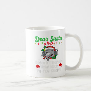 Lieber Weihnachtsmann, bevor ich erkläre, wie viel Kaffeetasse