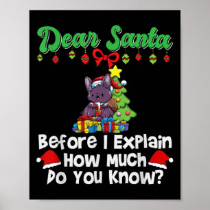 Lieber Weihnachtsmann, bevor ich erkläre, wie viel Poster