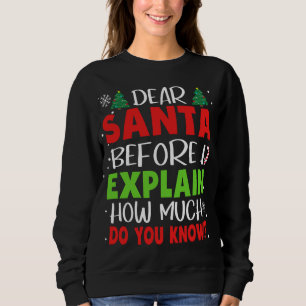 Lieber Weihnachtsmann, bevor ich erkläre, wie viel Sweatshirt