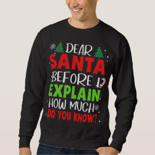 Lieber Weihnachtsmann, bevor ich erkläre, wie viel Sweatshirt