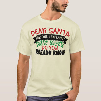 Lieber Weihnachtsmann, bevor ich erkläre, wie viel T-Shirt