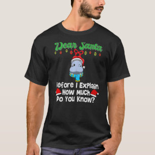 Lieber Weihnachtsmann, bevor ich erkläre, wie viel T-Shirt