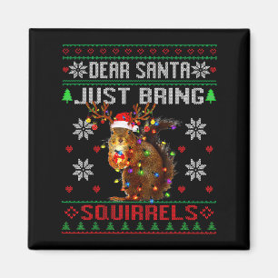 Lieber Weihnachtsmann Bring einfach Eichhörnchen W Magnet