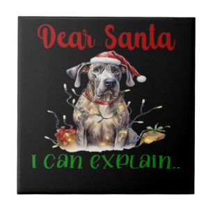 Lieber Weihnachtsmann, ich kann den Great Dane Ess Fliese