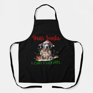 Lieber Weihnachtsmann, ich kann den Great Dane Ess Schürze