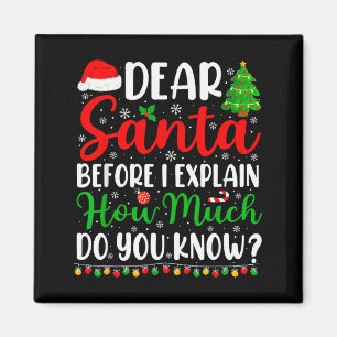Lieber Weihnachtsmann, ich kann erklären, T-Shirt Magnet