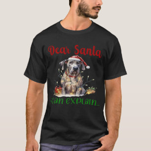Lieber Weihnachtsmann, ich kann Great Dane Essenti T-Shirt