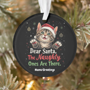 Lieber Weihnachtsmann, sie sind die Unartigen Lust Ornament