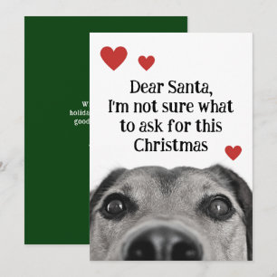 Lieber Weihnachtsmann Süßer Hund Weihnachten Grün 