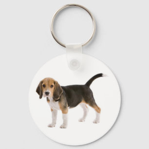 Liebes-Beagle-Welpen-Hund individuell gestaltetes  Schlüsselanhänger