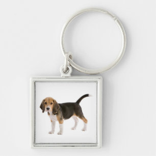 Liebes-Beagle-Welpen-Hund individuell gestaltetes  Schlüsselanhänger