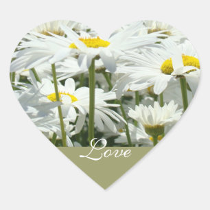 Liebesaufkleber Weiße Gänseblümchen Hochzeiten Brä Herz-Aufkleber