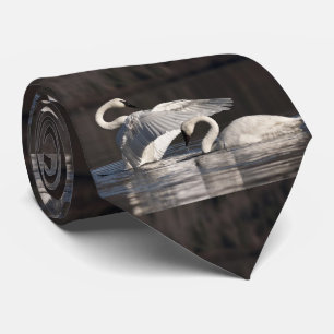 Liebesschwäne Krawatte