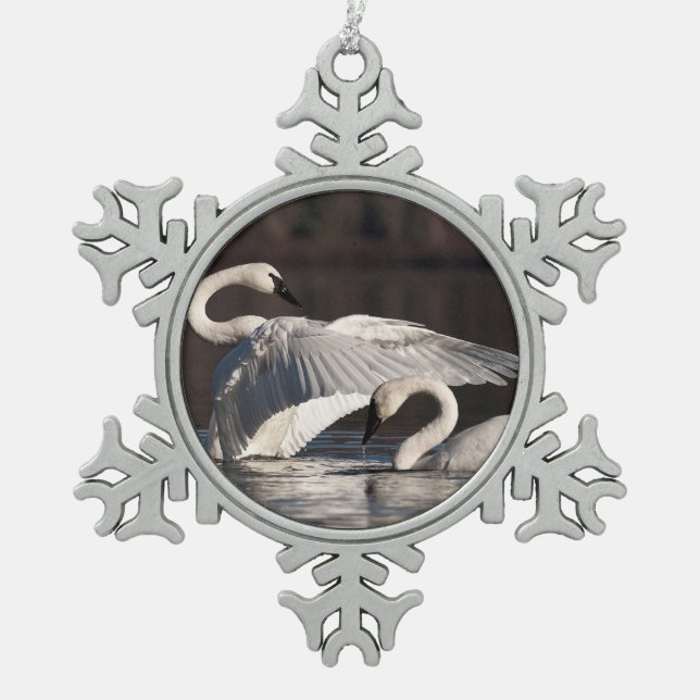Liebesschwäne Schneeflocken Zinn-Ornament (Vorderseite)