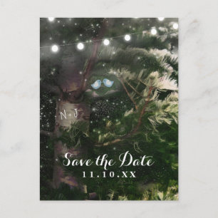 Liebesvögel + Pine Tree Night Save the Date Ankündigungspostkarte