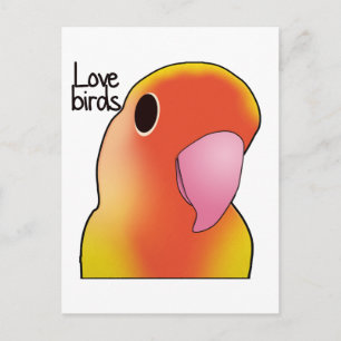 Liebesvögel Postkarte