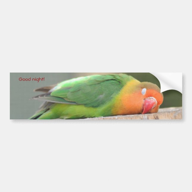 Liebesvogel schlafen autoaufkleber (Vorne)