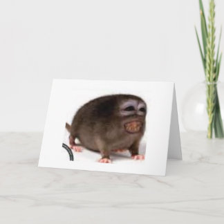 liebevolle Geburtstagskarte Karte