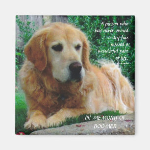 Liebevolle Hunde Magnet