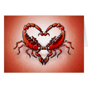 Liebevolle Skorpione