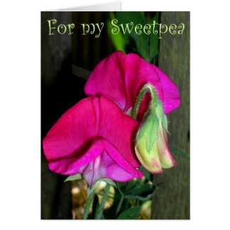 Liebhaber der Sweetpea-Karte