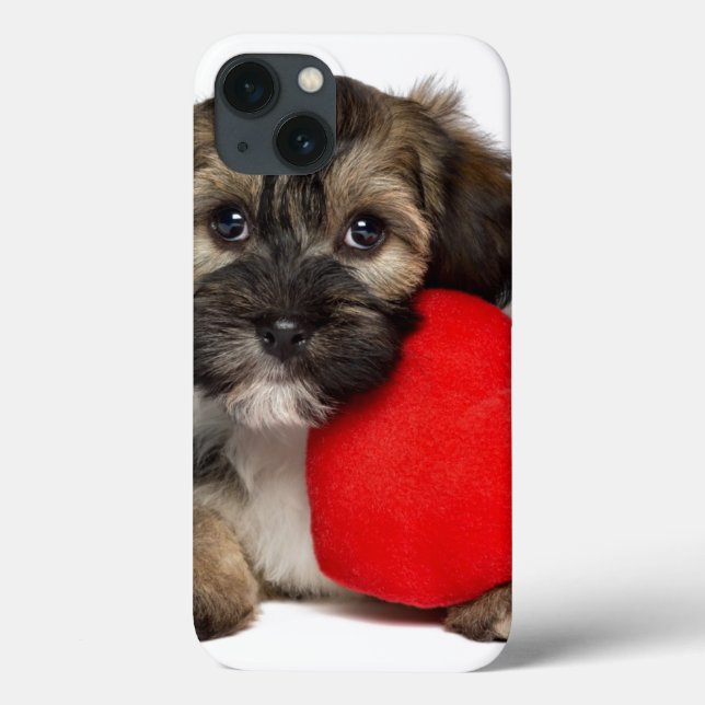 Liebhaber-Valentinsgruß Havanese Hündchen Case-Mate iPhone Hülle (Rückseite)
