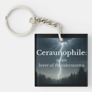 Liebhaber von Gewittern Schlüsselanhänger