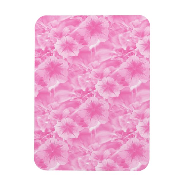 Lieblich in Rosa. Magnet (Vertikal)