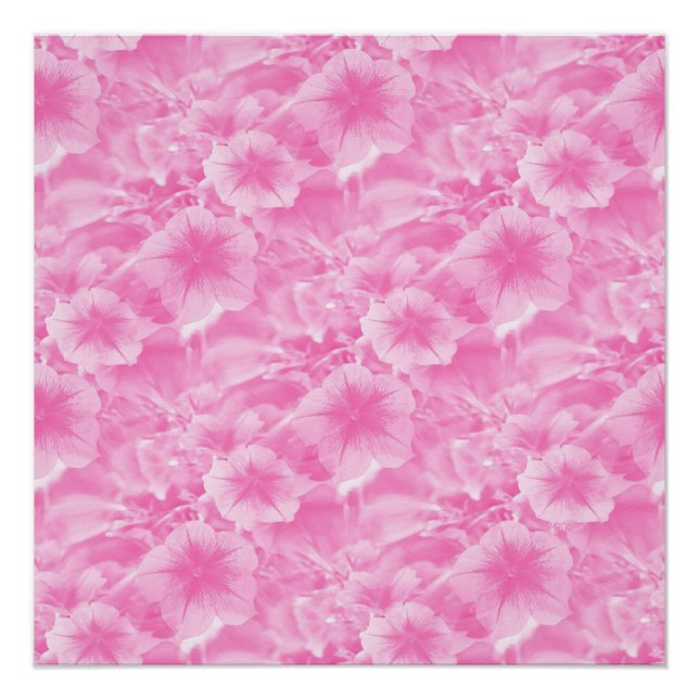 Lieblich in Rosa. Poster (Vorderseite)