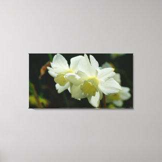 Lieblich in Weiß Leinwanddruck