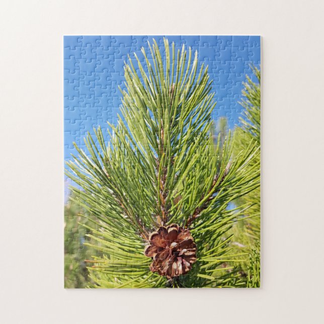 Lieblich! Puzzle - Single Pine Cone in Tree (Vertikal)