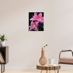Lieblich rosa Lily bluboms floral Poster