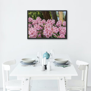 Lieblich rosa Rhododendron Blooms Bloral Poster