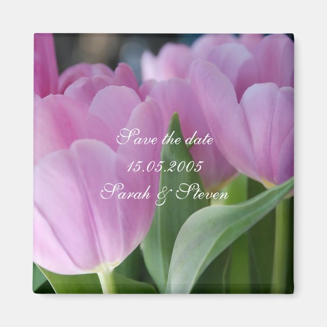 Lieblich rosa Tulips Rett date Magnet (Vorne)