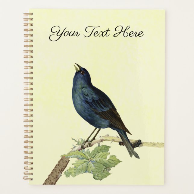 Lieblich Singing Black Bird auf Branch-Raupe Planer (Vorderseite)