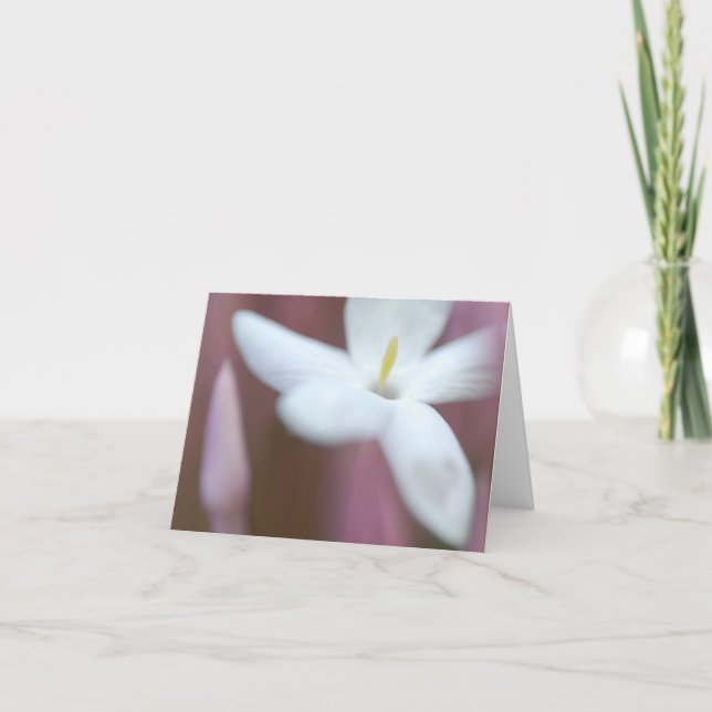 Liebliche Blume geklappte Grußkarte Karte (Vorderseite)