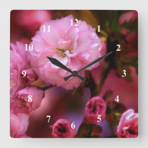 Liebliche Frühlingserreger Rosa Kirschblüten Quadratische Wanduhr