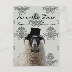 Liebliche Hochzeitsschaf Save the Date Ankündigungspostkarte