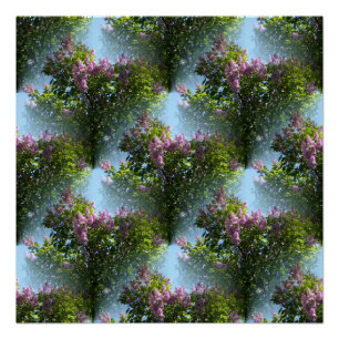 Liebliche Lilacs... Poster